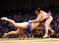 　大の里（左）は寄り切りで安青錦を下す（撮影・山口登）