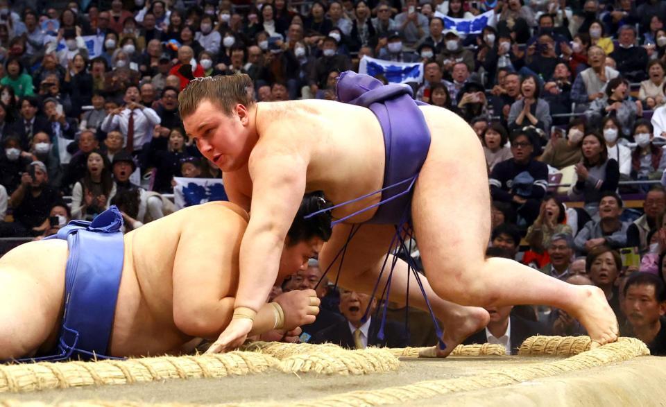 　安青錦（右）は大の里に敗れる（撮影・山口登）