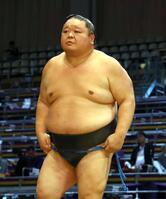 　大雷童（撮影・山口登）