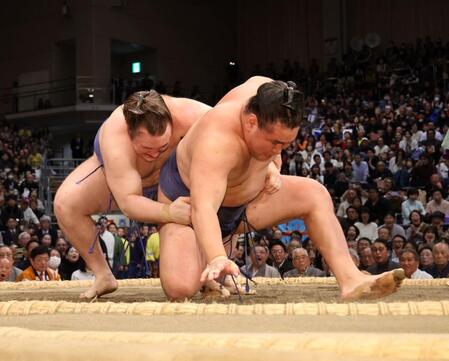 　安青錦は豊昇龍を破り優勝を決める（撮影・山口登）