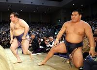 　豊昇龍（右）は安青錦に敗れる（撮影・山口登）