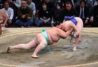 　琴桜（左）が内無双で安青錦に敗れる