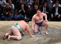 　琴桜（左）を内無双で破った安青錦