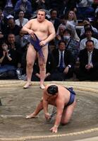 　優勝決定戦で豊昇龍（手前）を破った安青錦