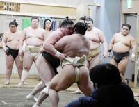 　伯乃富士を寄り切る旭富士