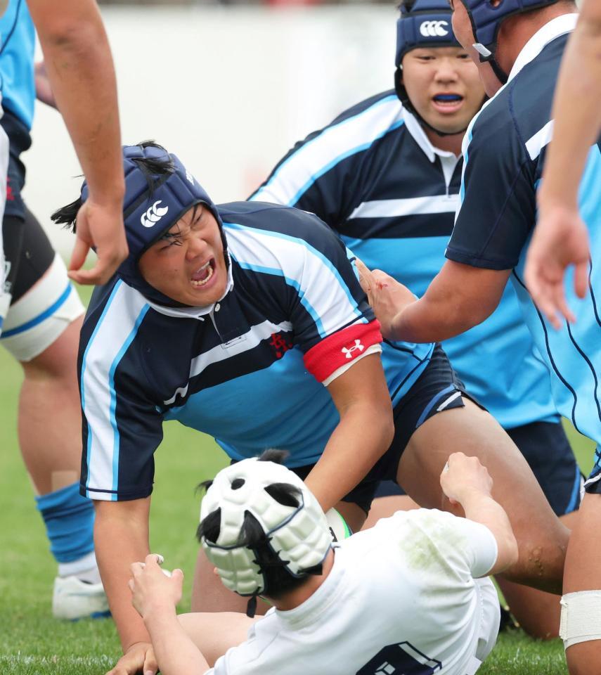 　前半、トライを挙げて雄たけびを上げる東海大大阪仰星・米谷翔馬（撮影・立川洋一郎）