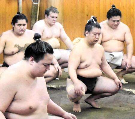 　稽古後の蹲踞をする若隆景（後列右）と安青錦（同左）