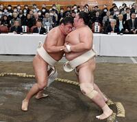 　琴桜（右）と稽古する豊昇龍（撮影・佐藤厚）