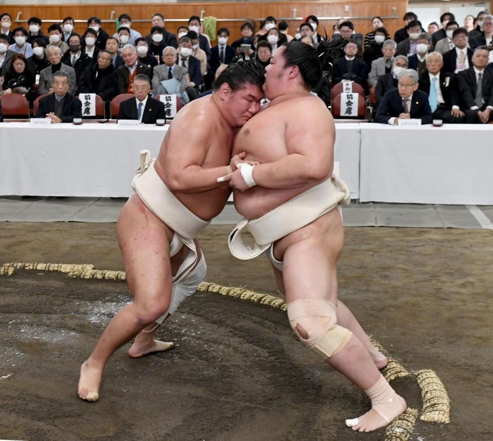 　琴桜（右）と稽古する豊昇龍（撮影・佐藤厚）