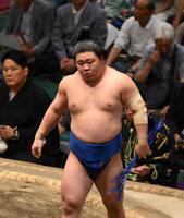 東白龍に勝利した若碇(現藤ノ川)＝２５年５月