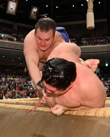 宇良を寄り倒しで下した安青錦（撮影・持木克友）