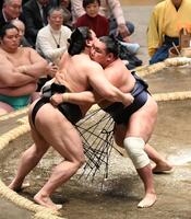 若元春（左）を寄り倒しで下した豊昇龍（撮影・佐藤厚）