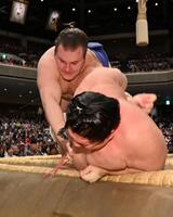 宇良を寄り倒しで下した安青錦（撮影・持木克友）