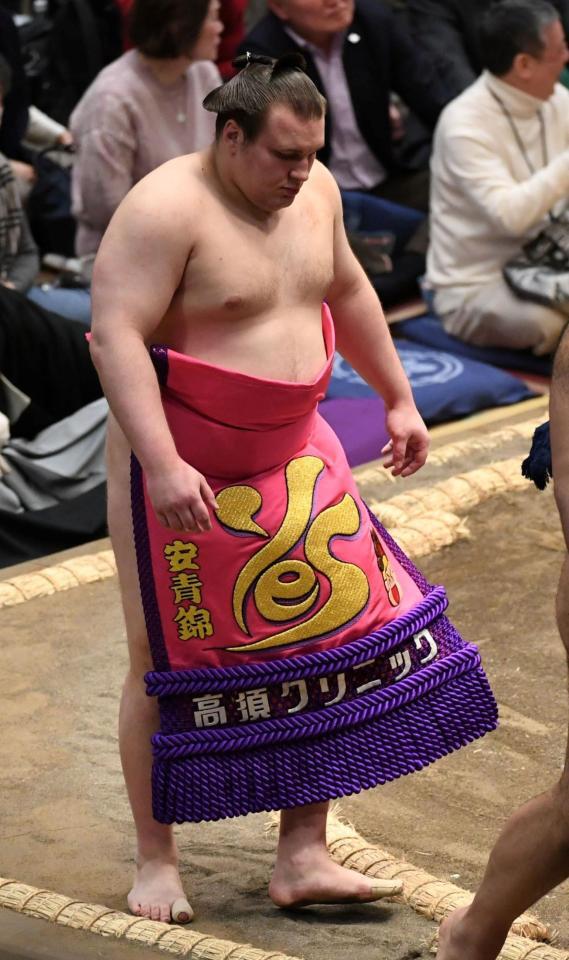 高須クリニックの化粧まわしで土俵入りする安青錦（撮影・佐藤厚）