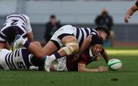 後半、明大のディフェンスにつかまる早大・矢崎由高（撮影・金田祐二）