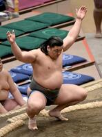 風格十分の和歌ノ富士（撮影・佐藤厚）