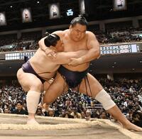 　豊昇龍（右）を寄り切る義ノ富士（撮影・持木克友）