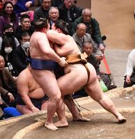 安青錦（左）を浴びせ倒しで破った王鵬（撮影・園田高夫）