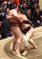 竜電（左）を寄りきりで破る朝乃山