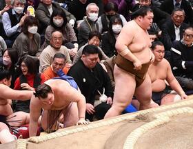 　浴びせ倒しで安青錦（左）を破った王鵬