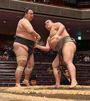 　北勝泉（左）を寄り切りで破った朝阪神（撮影・持木克友）