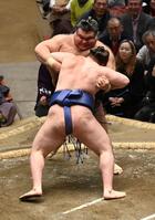 安青錦に寄り切られる高安＝撮影・持木克友