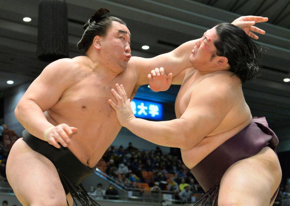 日馬富士（左）に攻められる遠藤＝２０１４年