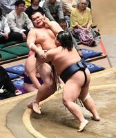 藤凌駕（右）に押し出しで敗れた栃大海（撮影・園田高夫）