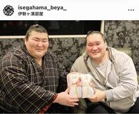 伊勢ケ浜部屋のインスタグラム（＠ｉｓｅｇａｈａｍａ＿ｂｅｙａ）から