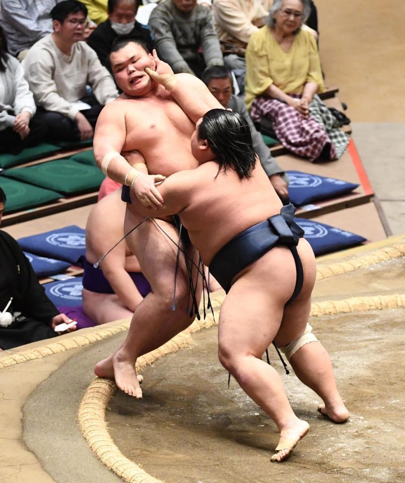 藤凌駕（右）に押し出しで敗れた栃大海（撮影・園田高夫）
