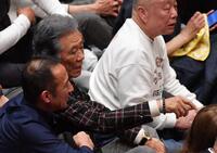 　大相撲観戦する西岡徳馬（撮影・開出牧）