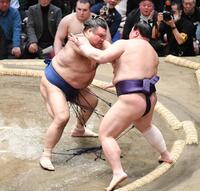 義ノ富士（右）を突き出しで下した高安（撮影・開出牧）