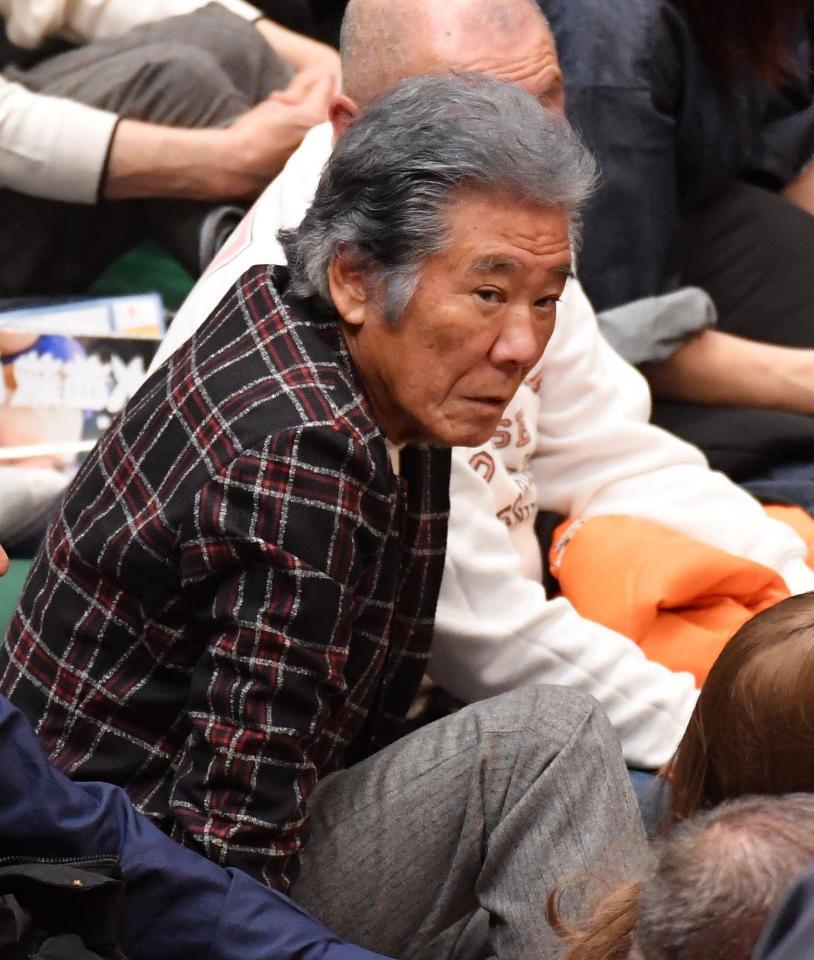 　大相撲観戦する西岡徳馬（撮影・開出牧）
