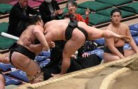 栃丸（左）を渡し込みで破り、６勝０敗とした炎鵬（撮影・佐藤厚）