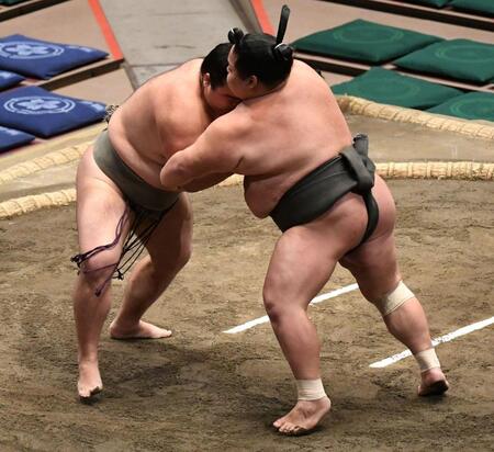 寄り切りで玄武丸（右）を破った朝阪神（撮影・佐藤厚）