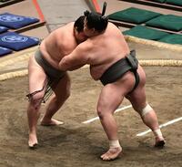 寄り切りで玄武丸（右）を破った朝阪神（撮影・佐藤厚）