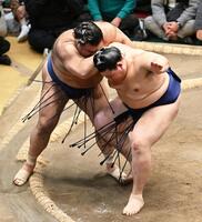 大の里（右）が寄り切りで高安を下す