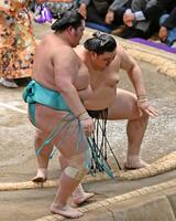 大の里（右）が寄り切りで琴桜を下す