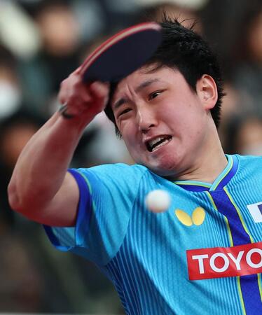 木造勇人を破り準決勝進出を決めた張本智和