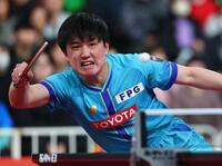 木造勇人を破り準決勝進出を決めた張本智和