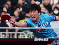 木造勇人を破り準決勝進出を決めた張本智和