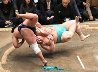 豊昇龍（左）が上手投げで琴桜を下す