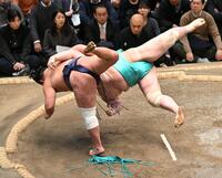 豊昇龍（左）が上手投げで琴桜を下す