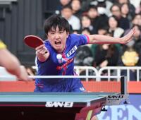 準決勝に臨む張本智和（撮影・石井剣太郎）