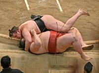 優勝決定戦、安青錦（上）が首投げで熱海富士を下す