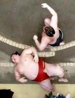 優勝決定戦で熱海富士（下）が首投げで安青錦に敗れる