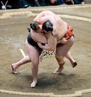 大相撲初場所千秋楽の優勝決定戦で平幕熱海富士（右）を首投げで破り、２場所連続優勝を果たした大関安青錦