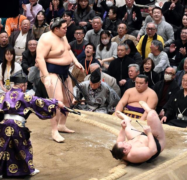 大相撲 横綱に完敗の安青錦が見せた姿勢