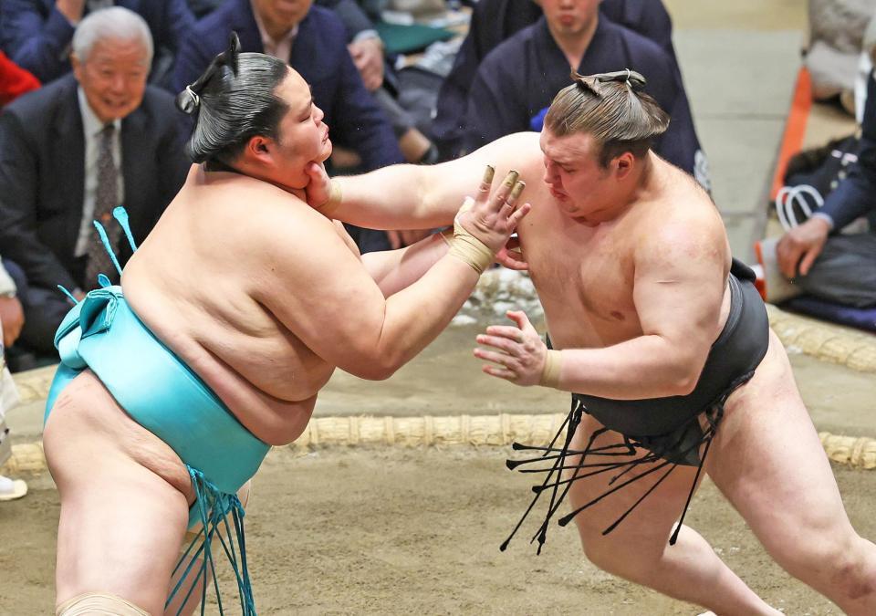 琴桜（左）を攻める安青錦