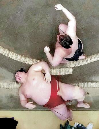 優勝決定戦で熱海富士（下）が首投げで安青錦に敗れる